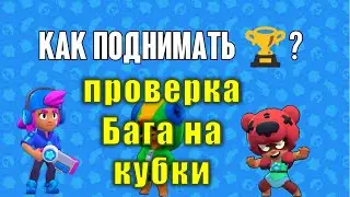 Проверка бага на кубки.