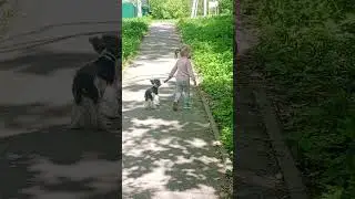 выгуливает Арни