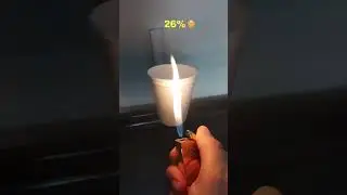 Lighter vs Styrofoam 🥤
