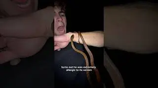 BIT BY A VENOMOUS SNAKE IN AUSTRALIA! 