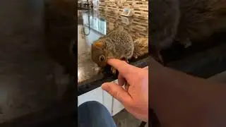 И вот здесь ещё почеши.