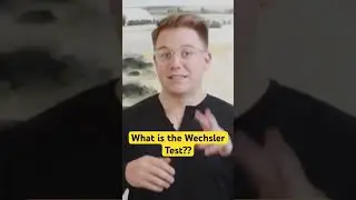 The Wechsler Scale 
