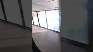 RIDING THE MONORAIL AT DISNEY WORLD!