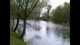 городня природа