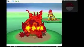 Pokémon Black | Bonus 6 | Struggling trainer