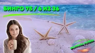 Бинго 75 + 6 х 36 🔥