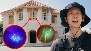 I thought this hotel was great.. until I took out my UV light (cheapest hotel in Singapore)
