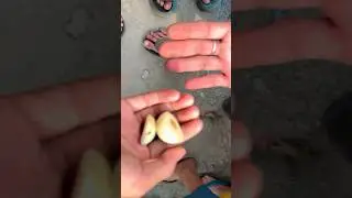 Women's pellets using garlic 