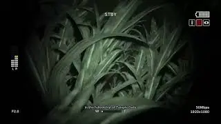 OUTLAST 2 - Men of the CORN