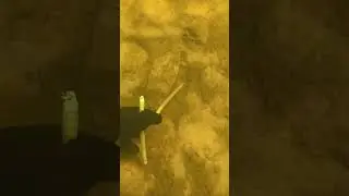 Нырялка в реке 