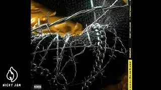 Post Malone Feat. Nicky Jam & Ozuna - Rockstar Latin Remix