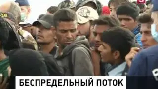Европа продолжает искать выходы из миграционного кризиса