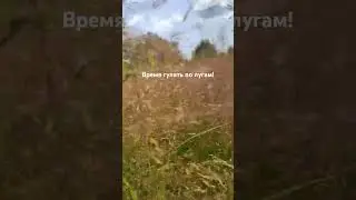 Отдых на природе. отдых в глэмпинге. #отдыхвподмосковье #глэмпинг #дача