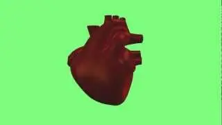 human hart with pulse animation poser 1080p s06r02 18fps green screen sky .avi