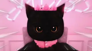 meow.mp4
