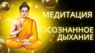 медитация осознанное дыхание.