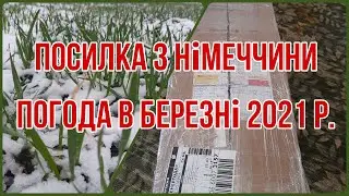 Посилка з Німеччини. Знаряддя для боротьби з мишами на полях. Холодний березень 2021. Сніг, дощ.
