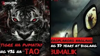 Tigre na Pumatay ng 436 Katao at ang Eroplanong Naglaho ng 37 Years at Biglang Nagbalik
