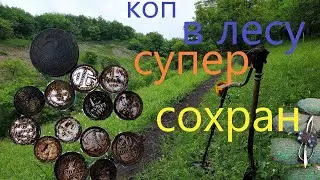 коп монет в лесу с металлоискателем симплекс плюс.нокто макро.сохран.копмонет