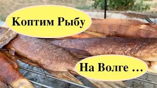 Коптим рыбу на Волге!!!