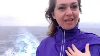 Свобода выбора или попутный ветер. Как используя свои таланты преуспеть в жизни