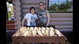 Платная рыбалка в Московской области. Платные пруды. Рыбалка в Москве.