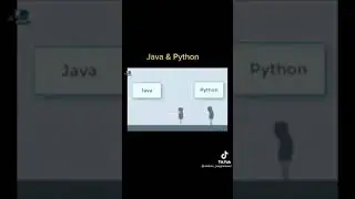 Java & Python 