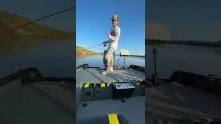 🔥🧐Как сохранять приманки