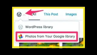 Breaking News | Google photos can now integrate with your wordpress.com blog