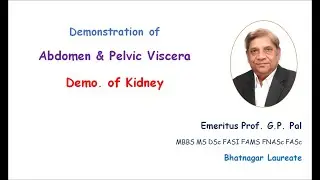 5. Demonstration Of Kidney