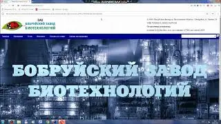 Структура сайта с формой для заявки