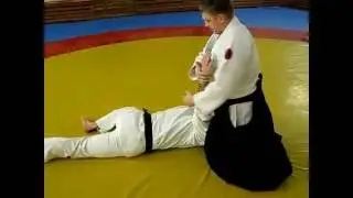 Some Aikido Techniques
