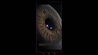 ﺔﺷﺎﺸﻟﺍ ﻢﺟﺮﺘﻣ :OG augniL