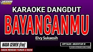 BAYANGANMU KARAOKE DANGDUT - ELVY SUKAESIH