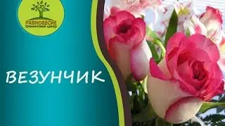 Везунчик