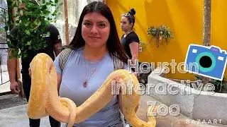 Houston Interactive Zoo!