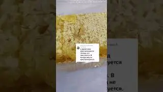 #соты