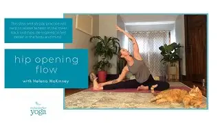 Hip Opening Yoga Flow Practice for Beginners.