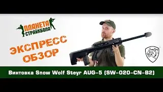 Обзор винтовки Snow Wolf Steyr AUG-5 (SW-020-CN-B2)