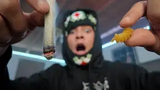 ROLLING UP WITH A PASTA SHELL
