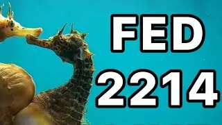 Flat Earth Debate 2214 Uncut & After Show Clips N Politics