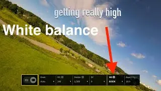Avata Camera Auto settings EXPOSED😎