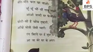 poem pyari maina, pyari maina, poem, hindi poem #poem #bharat