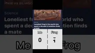 Frog has more points than me 🥲 