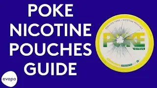 Poke nicotine pouches guide