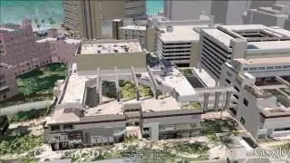 CC3D WaikikiVD 1