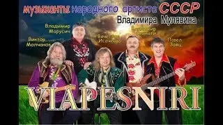 ПЕСНЯРЫ (ансамбль Игоря Свечкина)