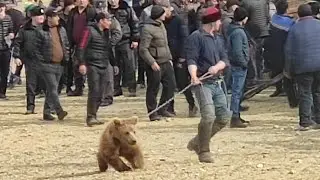 23.02.2022 БУЗКАШИИ КАЛОН ДАР Ш.ИСФАРА ШОХЧОИЗАИ ДУШАНБЕ