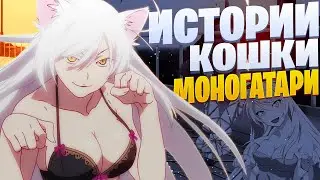 White Area - Истории кошки | Ханекава Цубаса | Моногатари | Monogatari Rap