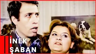İnek Şaban | Kemal Sunal Komedi Filmi İzle